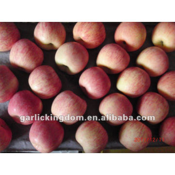 Qixia Red Fuji Apples(Stripe layer 100-113-125 20kg)